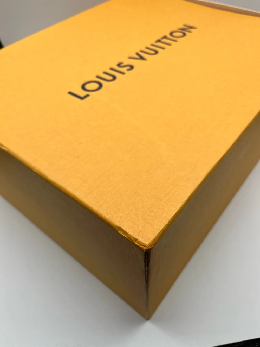 Louis Vuitton Speedy Box 14” l x 11” w x 5.75” h
